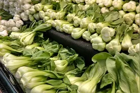 油菜有哪些有益营养？哪些人不适合吃油菜？图片