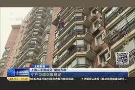 房市“降温”啦！上海二手房成交“量价齐跌”，小户型成交最稳定视频封面