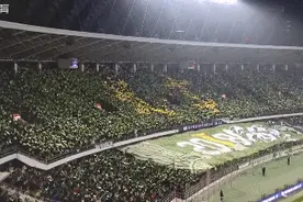 亚洲最大TIFO 什么是TIFO？图片