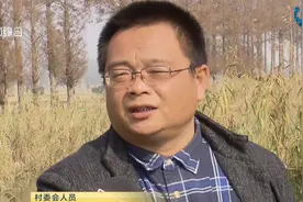 土地变成了绿色！村民种了菜却不敢吃，这块地是“中毒”了吗？视频封面
