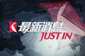 德国杜塞尔多夫国际机场发生持刀伤人事件 已造成1人受伤图片