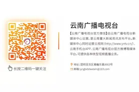 最新！云南100个山头春茶价格公布！曼松古树4万/公斤、冰岛古树…图片