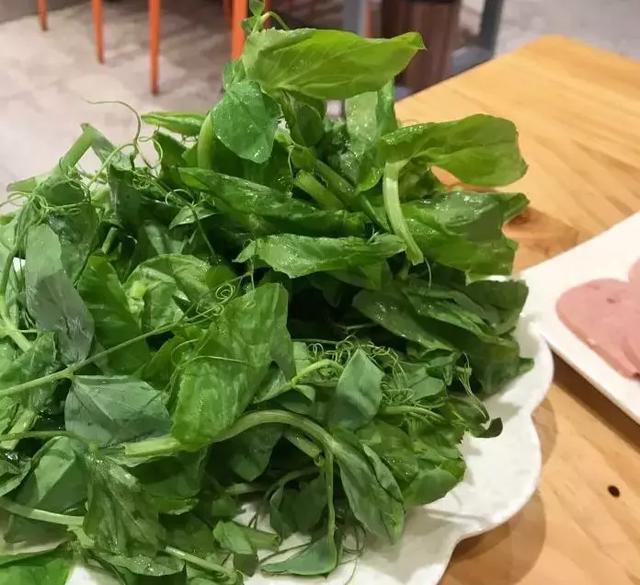 花胶冬虫夏草鸡汤 2026年冬虫草花胶煲鸡汤