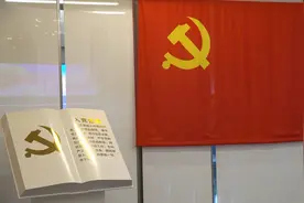 “难点”变“亮点” 基层党建入人心视频封面