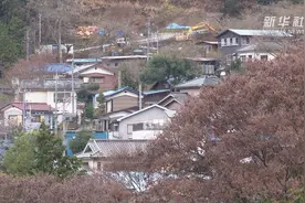 天上掉馅饼？免费送你双层楼房到底要不要