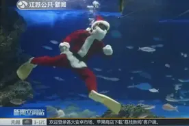 日本东京水族馆圣诞老人表演潜水，引来观众阵阵欢笑视频封面