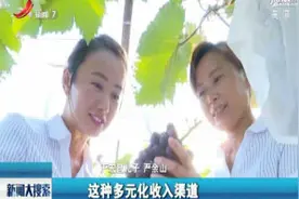「改革先锋风采录」农村改革的先行者：小岗村“大包干”带头人视频封面