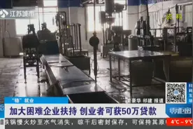 江苏出台新政策：加大困难企业扶持，创业者可获50万贷款视频封面