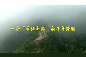 一个“原始部落”的千年跨越视频封面