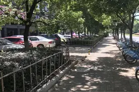 从“堵心”到“舒心”，红谷滩岭口路焕然一新图片
