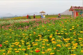 30秒“追”美乡村｜甘肃·大坪村视频封面
