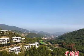 湖州妙山：守住青山 成为“妙山”图片