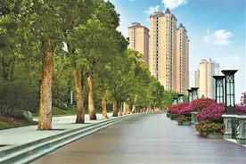 星河湾半岛 江景大宅“百炼成金”图片