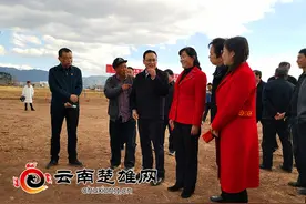 占地300亩！姚安县雨生红球藻规模化图片