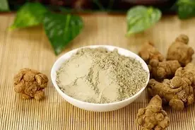 三七粉养生有禁忌，用多了小心不良反应图片