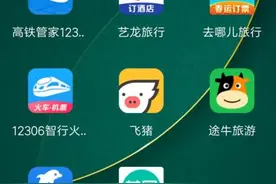 火车票抢票软件到底靠谱吗？记者实测了八款！图片