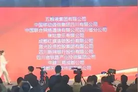 再添一项大奖！成都天府软件园有限公司斩获“2018四川十大领军企业”称号视频封面
