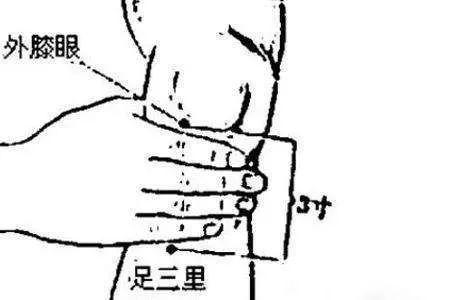 花胶红枣枸杞黄芪瘦肉 2026年黄芪花胶枸杞能一起炖