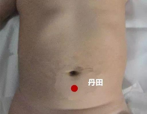 花胶红枣枸杞黄芪瘦肉 2026年黄芪花胶枸杞能一起炖