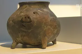 打卡新展览！100多只“小猪”喊你来过年视频封面