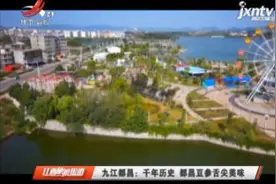 九江都昌：千年历史 都昌豆参舌尖美味视频封面