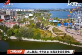九江都昌：千年历史 都昌豆参舌尖美味视频封面