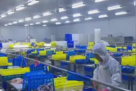 大连海关破获大案！嫌犯用这种方式偷梁换柱，走私冻品6000余吨视频封面