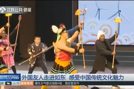 外国友人走进如东，看中国杂技高超技巧，感受浓浓年味儿视频封面