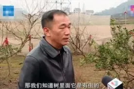 为给家人治病 两男子偷虫子被刑拘图片