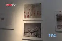 摄影师历时40年记录安徽小岗村 以照片展示发展变化视频封面