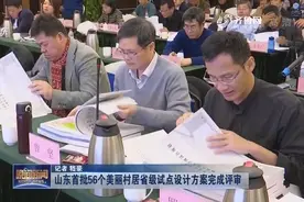 山东：56个美丽村居省级试点设计方案完成评审，将打造4大风貌区视频封面