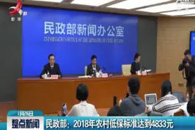 民政部：2018年农村低保标准达到4833元视频封面