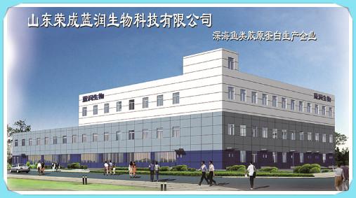 棓丽森金枪鱼胶原蛋白肽 2026年棓丽森金枪鱼胶原蛋白肽多少钱