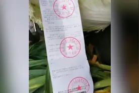 带土特产回家过年被罚200元后续：湖北交警总队撤销处罚，并道歉视频封面
