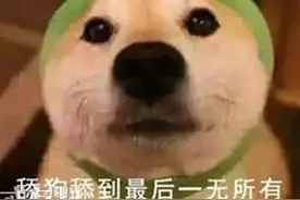 舔狗是什么意思？如果不是真的喜欢谁又愿意做舔狗呢出处？图片