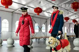 “小Q带我回家”——导盲犬的春运之旅视频封面