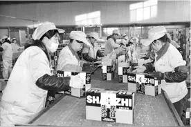 吕梁文水吕梁野山坡食品有限公司图片