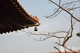 探访尼泊尔①｜蓝毗尼：感受穿越千年震撼信仰的力量图片