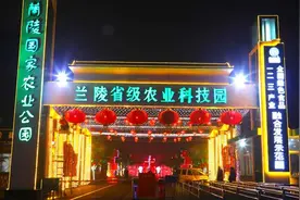 29秒｜兰陵国家农业公园第五届新春贺年会花灯点亮视频封面