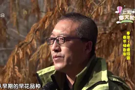 去大自然感受别样风格！十字水街与田字绿廊：奉贤生态轻旅行视频封面