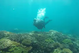 海南三亚：特色潜水引游客视频封面