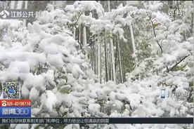 江苏暴雪渐止，南京、镇江积雪明显，明天开启“阴雨模式”！视频封面