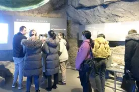 走进博物馆 感受乐清历史魅力图片