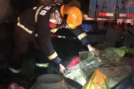 消防员火场上给兔子戴氧气罩做心肺复苏视频封面