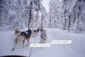 抖音X支付宝强强联手，共谱美好生活照进“鲤想世界”图片