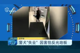 转行当只温顺狗！警犬受伤后性情大变，害怕反光地板被“辞退”视频封面