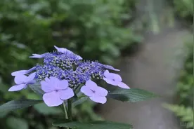 心路历程的感悟句子，入人心脾，解读人生！图片
