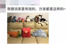 「荐读」一位妈妈晒沙发照片，炸出一堆被逼疯的家长……图片