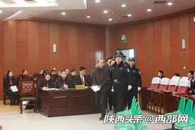 假冒“太太乐”、“穆堂香”等品牌鸡精牟利 8被告今日受审图片