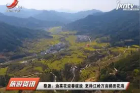 婺源：油菜花迎春绽放 更待江岭万亩梯田花海视频封面